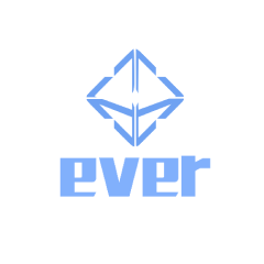 everVision